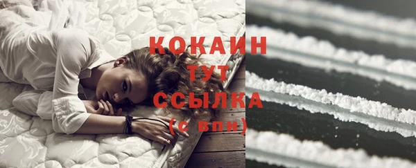крисы Надым