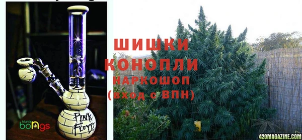 jwh Белокуриха